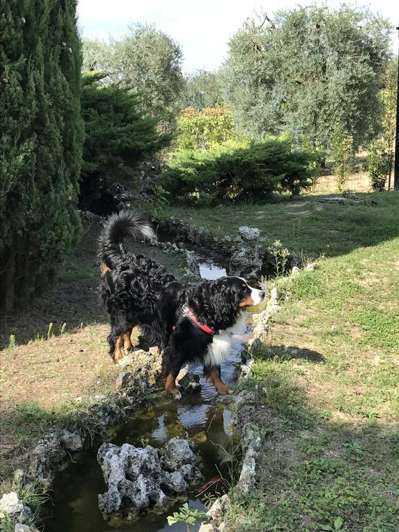 Agriturismo Azienda Agricola La Roccaia San Gimignano Extérieur photo